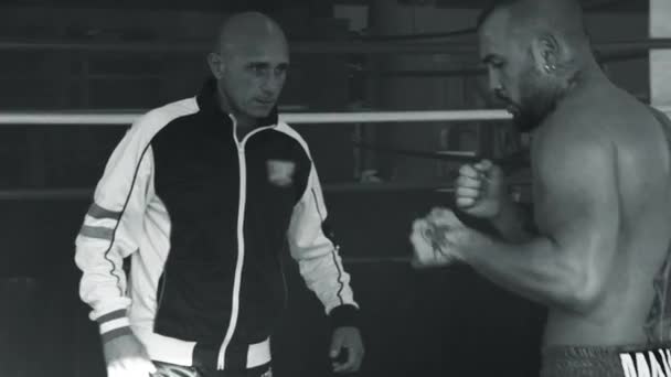 Antrenament Boxer Antrenor Mișcare Lentă Alb Negru — Videoclip de stoc
