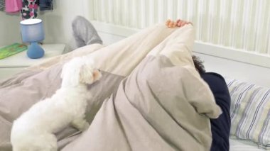 Mutlu çift yatakta yavru köpekle oynuyor, eğleniyor.