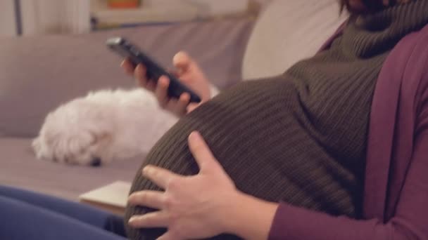 Femme Enceinte Assise Sur Canapé Avec Des Contractions Appelant Mari — Video