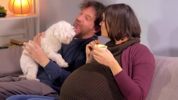 Femme Enceinte Avec Mari Assis Sur Canapé Jouant Avec Petit — Video