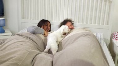 Sabahları mutlu bir çift köpekle saklambaç oynuyor.