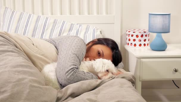 晚上妇女在床上放松与狗拥抱和爱抚 — 图库视频影像
