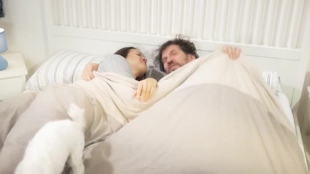 Schattig Paar Ochtend Gelukkig Spelen Met Hond Bed — Stockvideo
