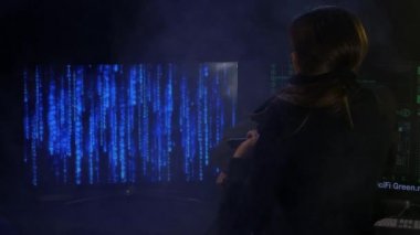 Polis kadın kaçırdı sonra suç hacker tutukluyor