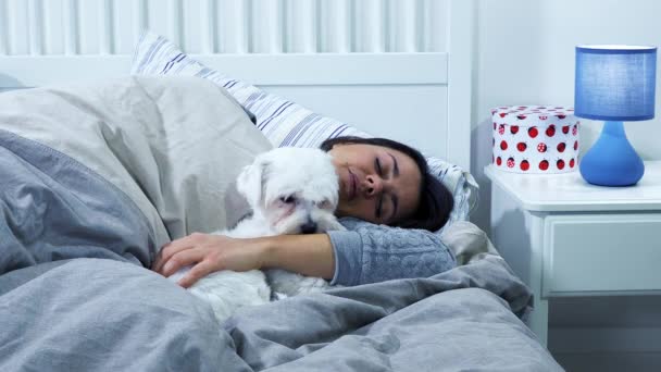 晚上狗舔女人睡在床上 — 图库视频影像