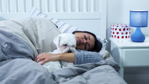 Perro Por Noche Lamiendo Mujer Durmiendo Cama — Vídeo de stock