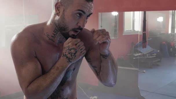 酷强拳击手训练在健身房慢动作 — 图库视频影像