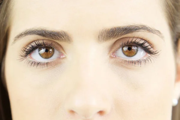 Closeup of big brown beautiful eyes — Stock Photo, Image