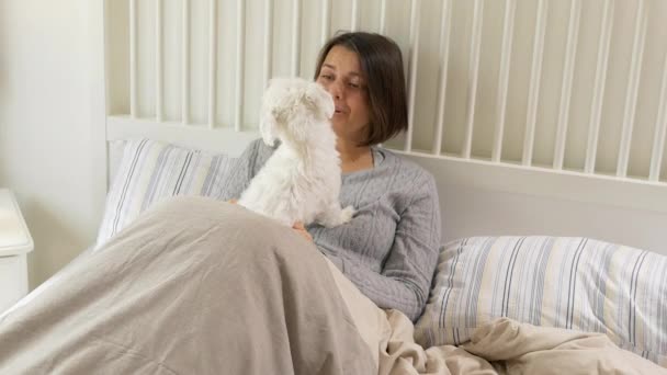 Cão Lambendo Rosto Mulher Cama — Vídeo de Stock