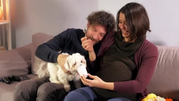 Coppia Incinta Divertirsi Con Cucciolo Cane Casa Primo Piano — Video Stock