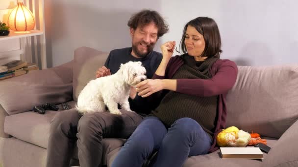 Embarazada Pareja Divirtiéndose Con Cachorro Perro Casa — Vídeo de stock