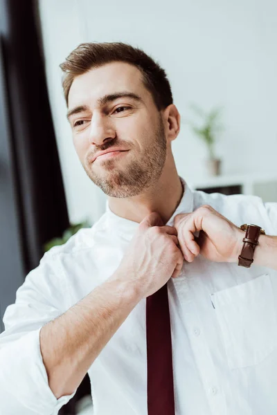 Portrait Handsome Businessman Fixing Tie — Free Stock Photo