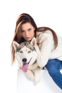 beyaz izole güzel kız sarılma husky köpek