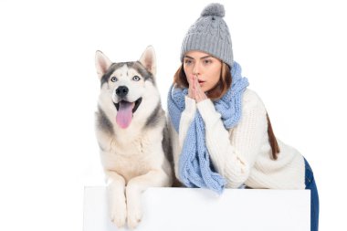 Husky köpek ve kadın örgü şapka ve beyaz izole beyaz küp üzerinde oturan eşarp