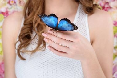 cropped shot of woman with beautiful blue butterfly on hand clipart