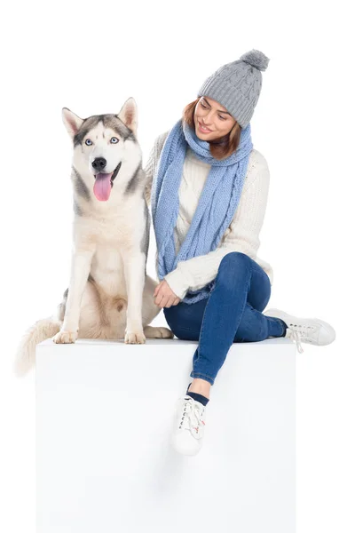 Cão e mulher husky em chapéu de malha e cachecol sentado no cubo branco, isolado no branco — Fotografia de Stock