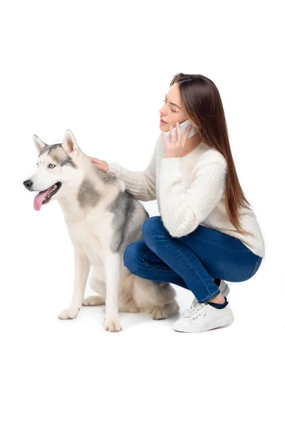 Mulher usando smartphone enquanto cão husky sentado perto, isolado no branco — Fotografia de Stock