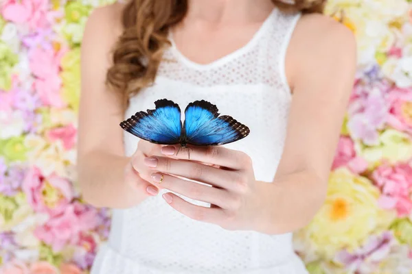 Recortado disparo de la mujer sosteniendo hermosa mariposa azul - foto de stock