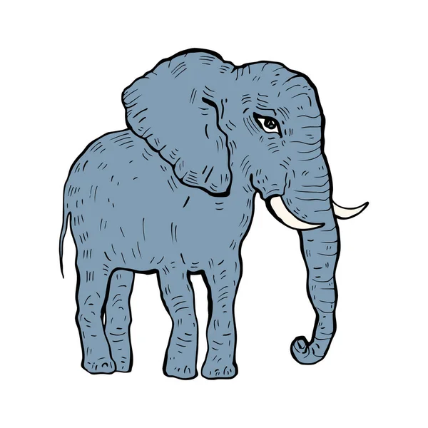 Elefant. Vektorillustration — Stockvektor