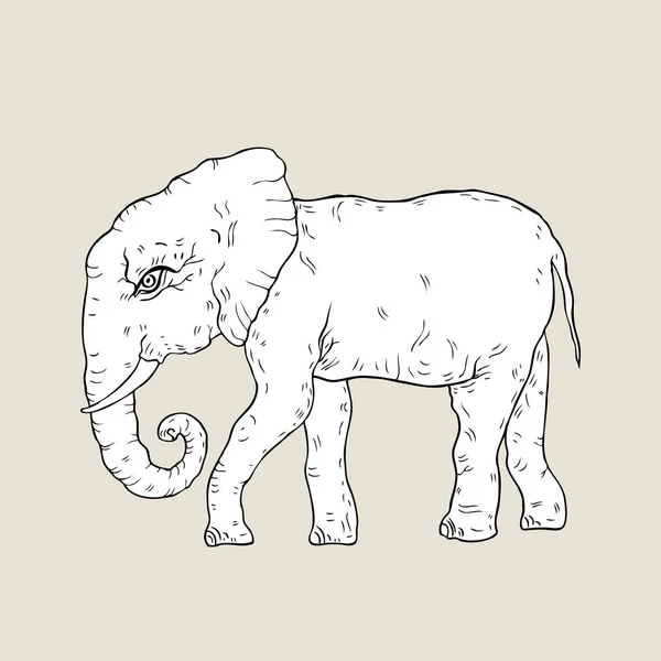 Elefante. Illustrazione vettoriale — Vettoriale Stock