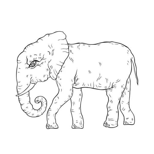 Elefante. Illustrazione vettoriale — Vettoriale Stock