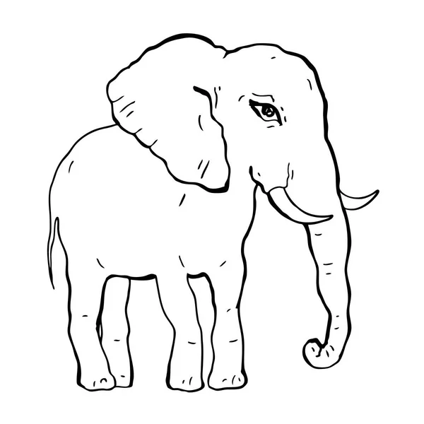 Elefante. Ilustração vetorial —  Vetores de Stock