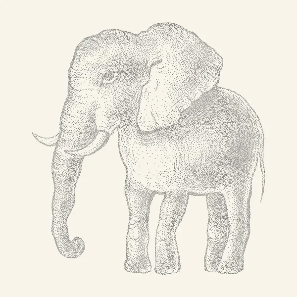 Elefante. Ilustração vetorial — Vetor de Stock