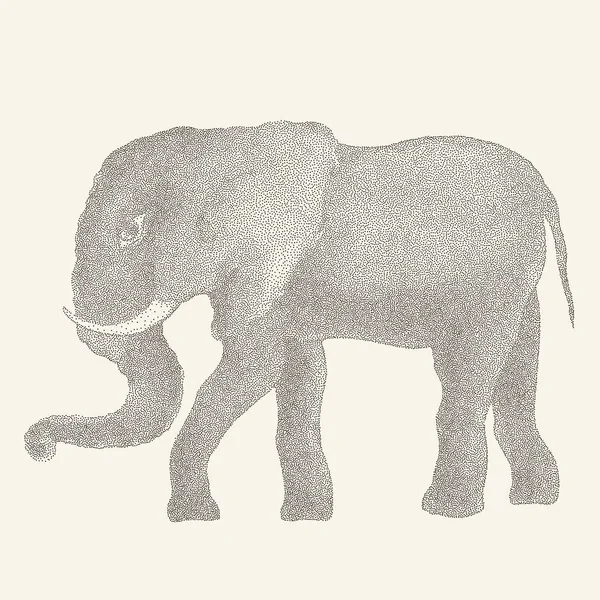 Słoń. Ilustracja wektorowa — Wektor stockowy