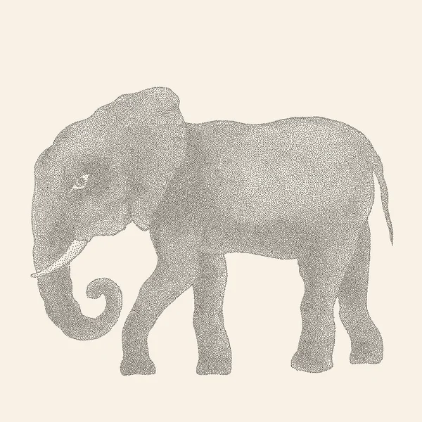 Éléphant. Illustration vectorielle — Image vectorielle