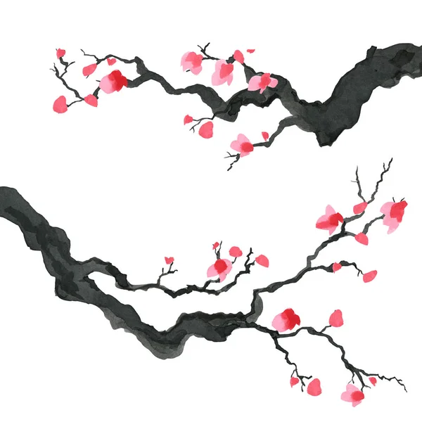 Sakura tree in Japanese style. Watercolor hand painting illustration — Stock Photo, Image