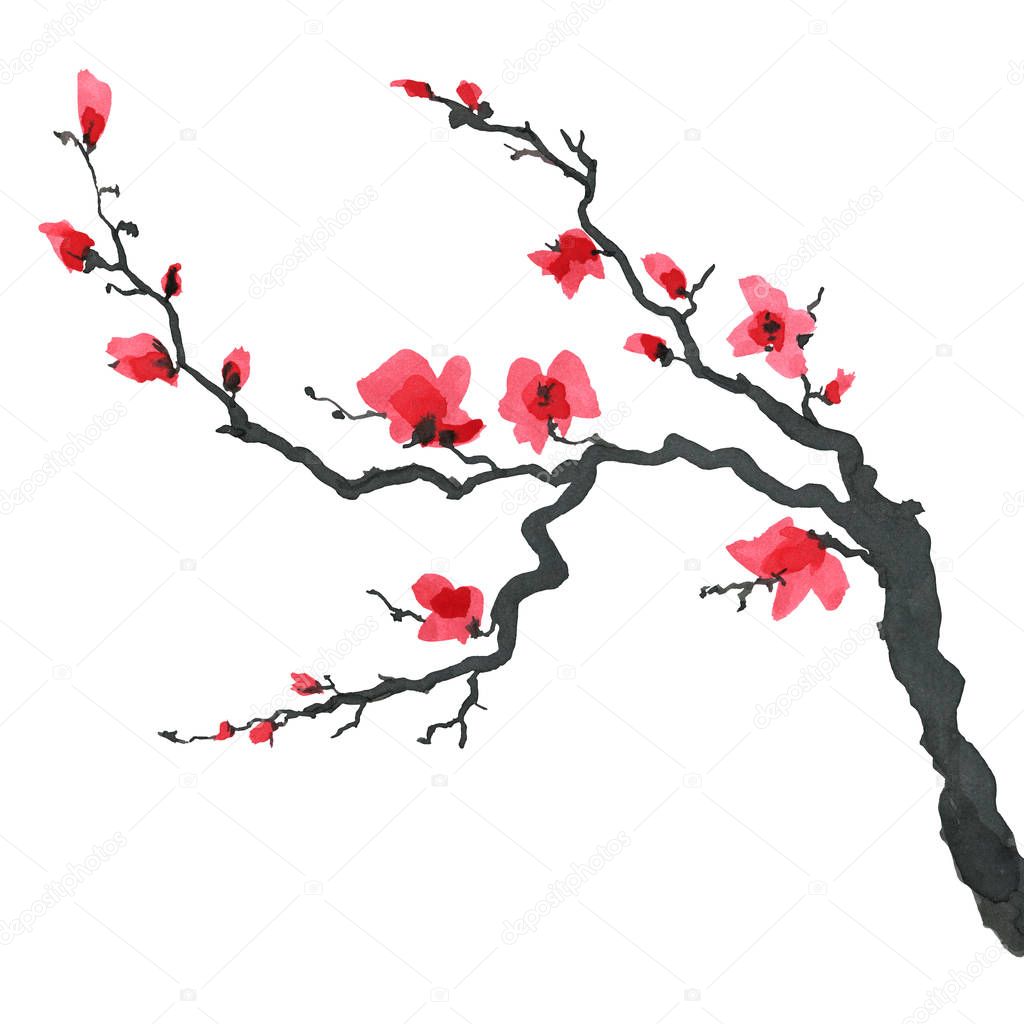 Sakura tree in Japanese style. Watercolor hand painting illustration