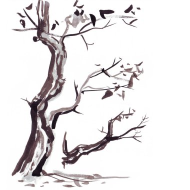 Ağaç dalı Japon tarzı. Suluboya el boyama çizim