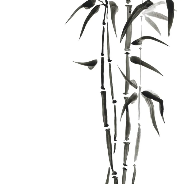 Bamboo in Japanse stijl. Aquarel hand schilderij illustratie — Stockfoto