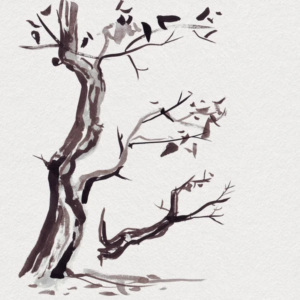 Κλαδί δέντρου σε ιαπωνικό στυλ. Ακουαρέλα χέρι Ζωγραφική απεικόνιση — Φωτογραφία Αρχείου