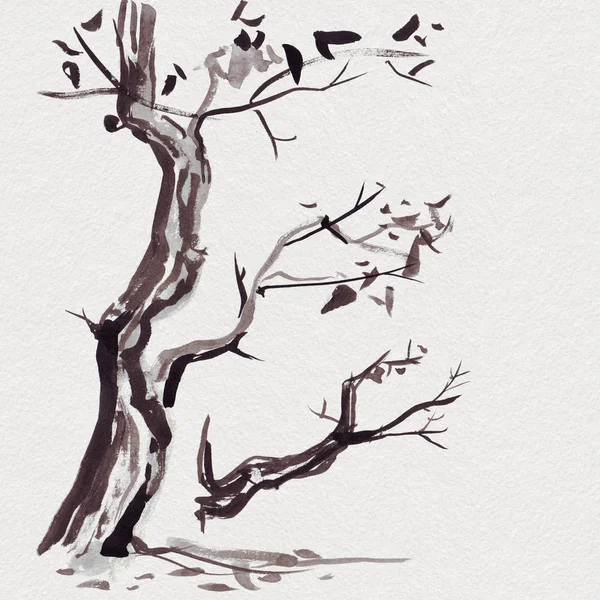 Branche d'arbre dans le style japonais. Aquarelle peinture à la main illustration — Photo