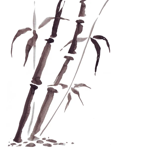 Bambu dalam gaya Jepang. Ilustrasi lukisan tangan berwarna air — Stok Foto