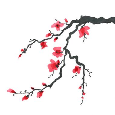 Sakura ağacı Japon tarzı içinde. Suluboya el boyama çizim