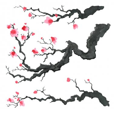 Sakura ağacı Japon tarzı içinde. Suluboya el boyama çizim
