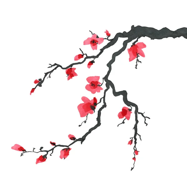 Sakura arbre dans le style japonais. Aquarelle peinture à la main illustration — Photo