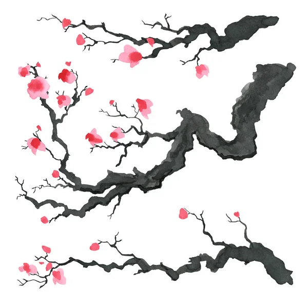 Sakura δέντρο σε ιαπωνικό στυλ. Ακουαρέλα χέρι Ζωγραφική απεικόνιση — Φωτογραφία Αρχείου