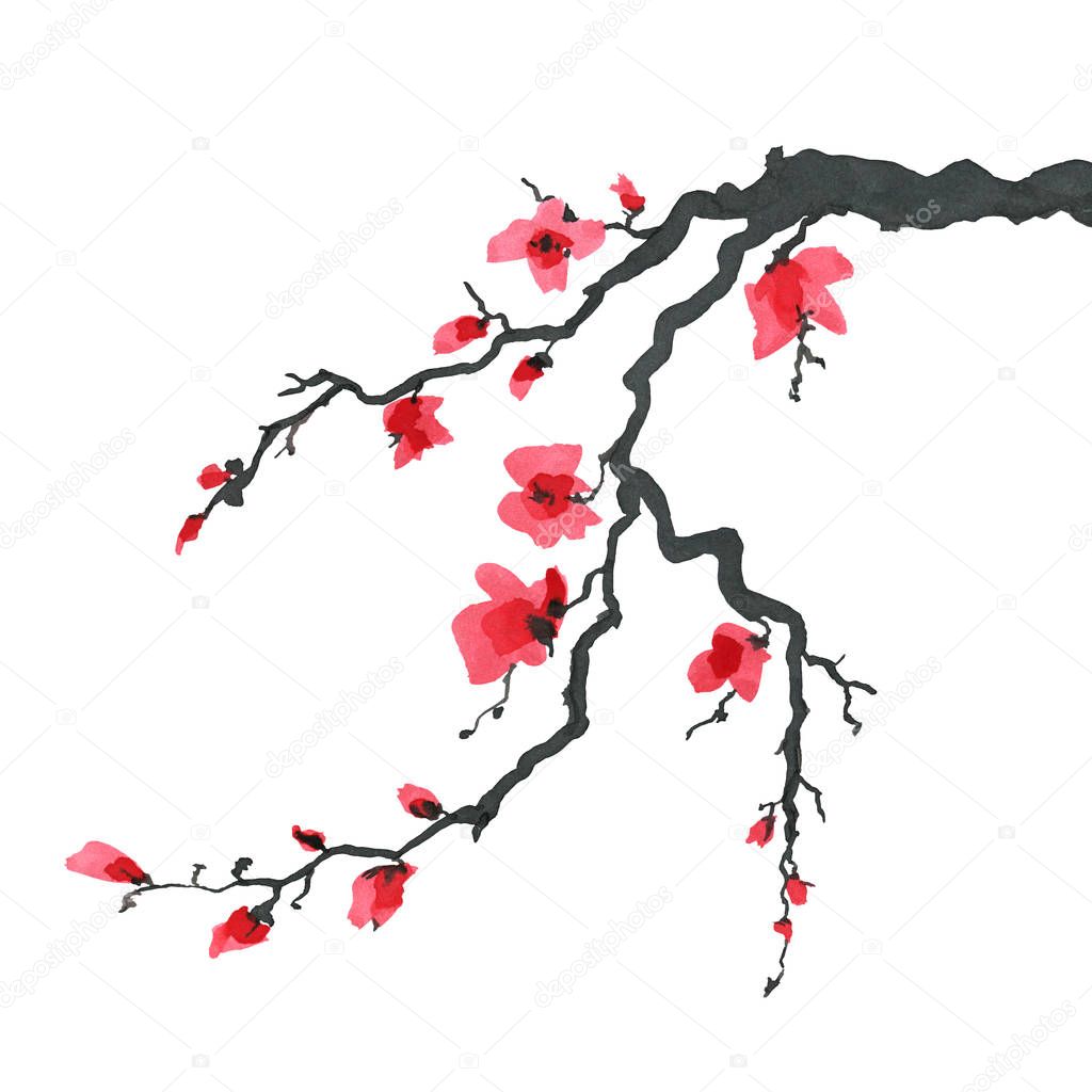 Sakura tree in Japanese style. Watercolor hand painting illustration