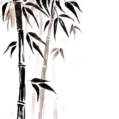 Bambu Japon tarzı. Suluboya el boyama çizim