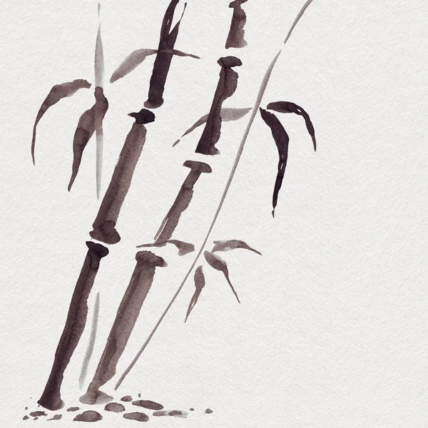 Bamboo in Japanse stijl. Aquarel hand schilderij illustratie — Stockfoto