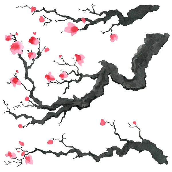 Árvore Sakura em estilo de pintura japonesa . — Fotografia de Stock