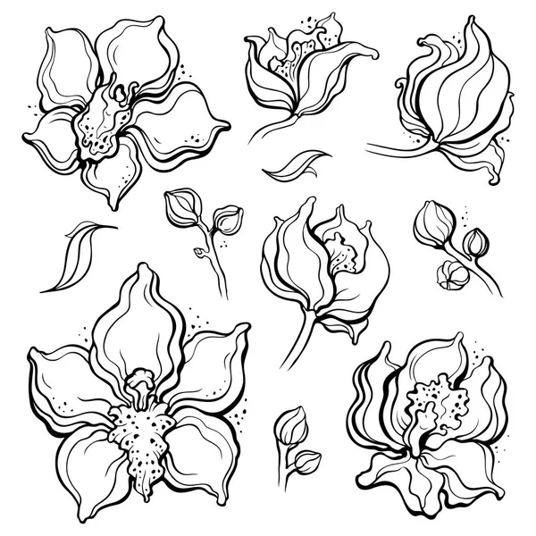 Квітковий візерунок з орхідеями. Рука намальована ілюстрація. Безшовний фон — стоковий вектор