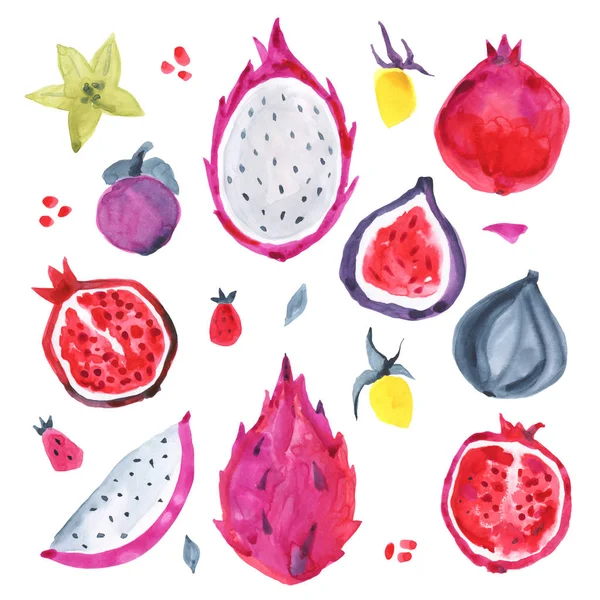 Watercolor exotic fruit. Hand drawn illustration — Stock Photo, Image