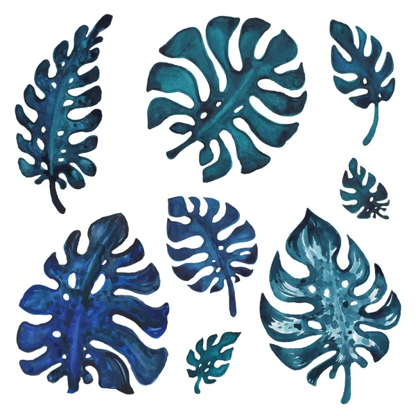 Feuilles de palmier tropical, illustration aquarelle — Photo