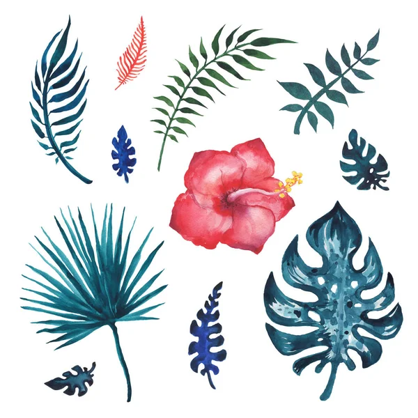 热带棕榈叶, 水彩插图 — 图库照片