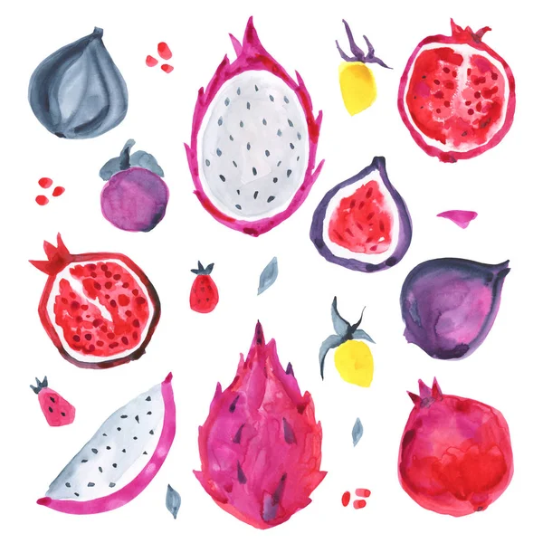 Watercolor exotic fruit. Hand drawn illustration — Stock Photo, Image