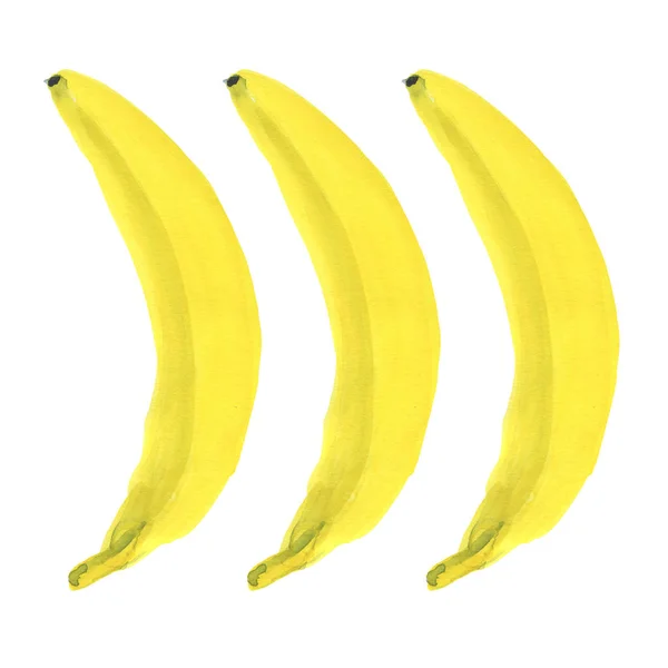 Banány. Akvarelu exotického ovoce. Ručně kreslené ilustrace — Stock fotografie